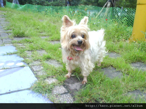 DSC00762-500 DSC00762-500