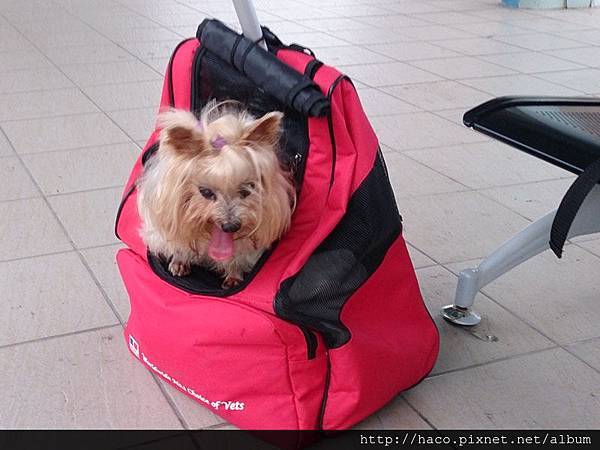 2014-06-02 17.40.49-800.jpg 2014-06-02 17.40.49-800.jpg