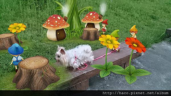 2014-05-13 18.28.02-800.jpg