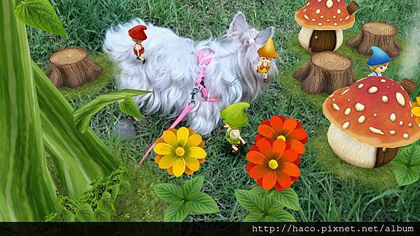 2014-05-14 18.24.05-800.jpg