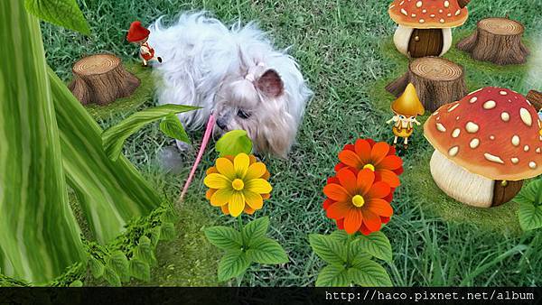 2014-05-14 18.24.10-800.jpg