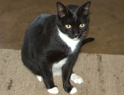 設計師01.jpg 設計師01.jpg