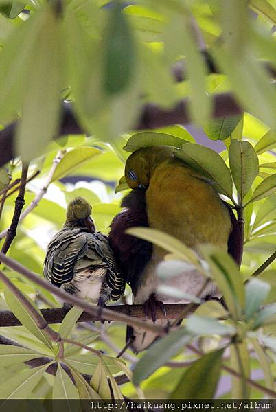 25AF1927-8 25AF1927-8