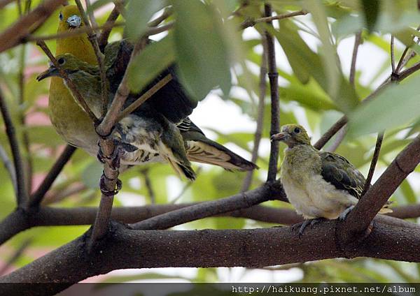 25AF1342-8 25AF1342-8