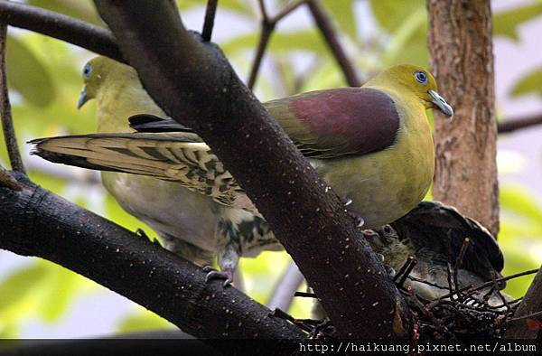 25AF0927-8 25AF0927-8