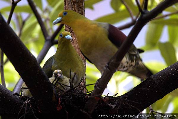 25AF0922-8 25AF0922-8