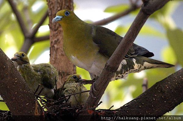 25AF1088-8 25AF1088-8