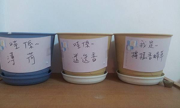 20120319_024941 20120319_024941