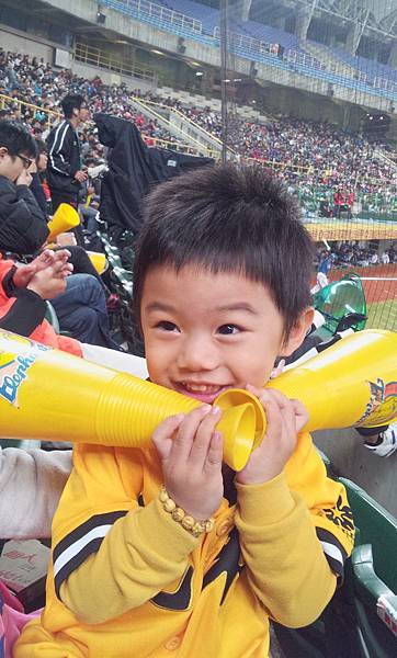 澄清湖棒球場 澄清湖棒球場