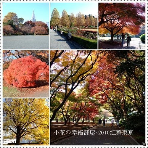第五天行程 第五天行程