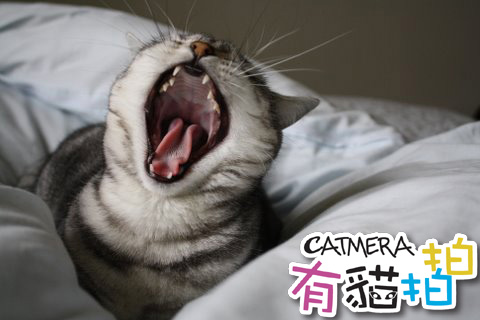 照片 027.jpg 照片 027.jpg