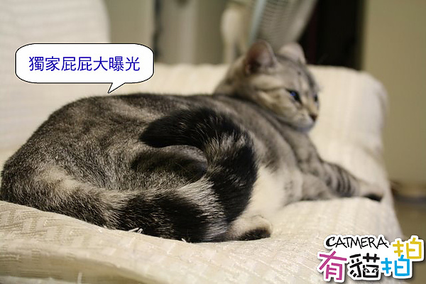 照片 001 複製.jpg 照片 001 複製.jpg