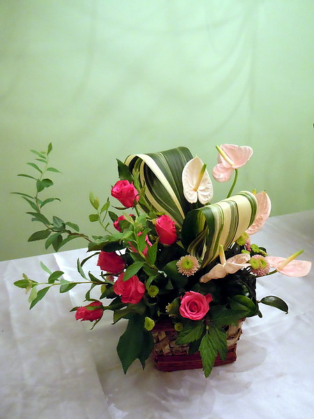 DSCN0654_調整大小 .JPG DSCN0654_調整大小 .JPG