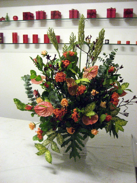 大盆花-妙芳_大小.jpg 大盆花-妙芳_大小.jpg