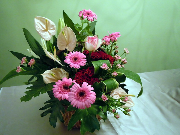DSCN0509_調整大小 .JPG DSCN0509_調整大小 .JPG