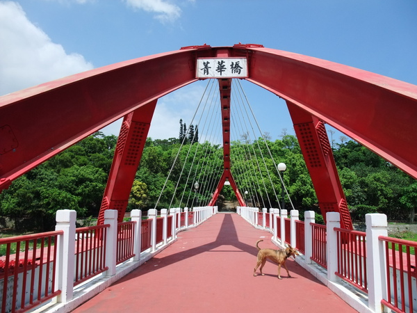 090907菁華橋 090907菁華橋