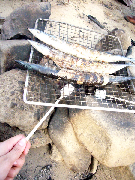 20091026仙台芋煮-烤秋刀 20091026仙台芋煮-烤秋刀