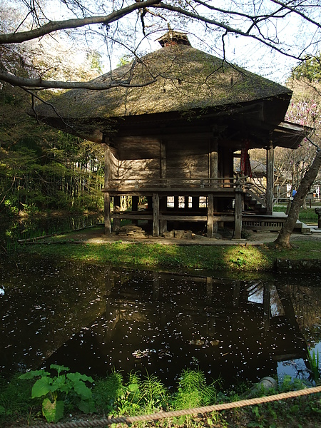 20100503藤原祭 20100503藤原祭