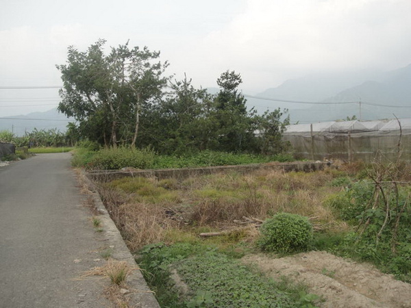 DSC03521.jpg DSC03521.jpg