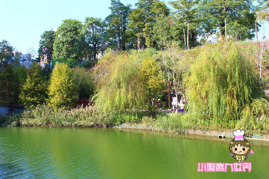 照片 115.jpg 照片 115.jpg