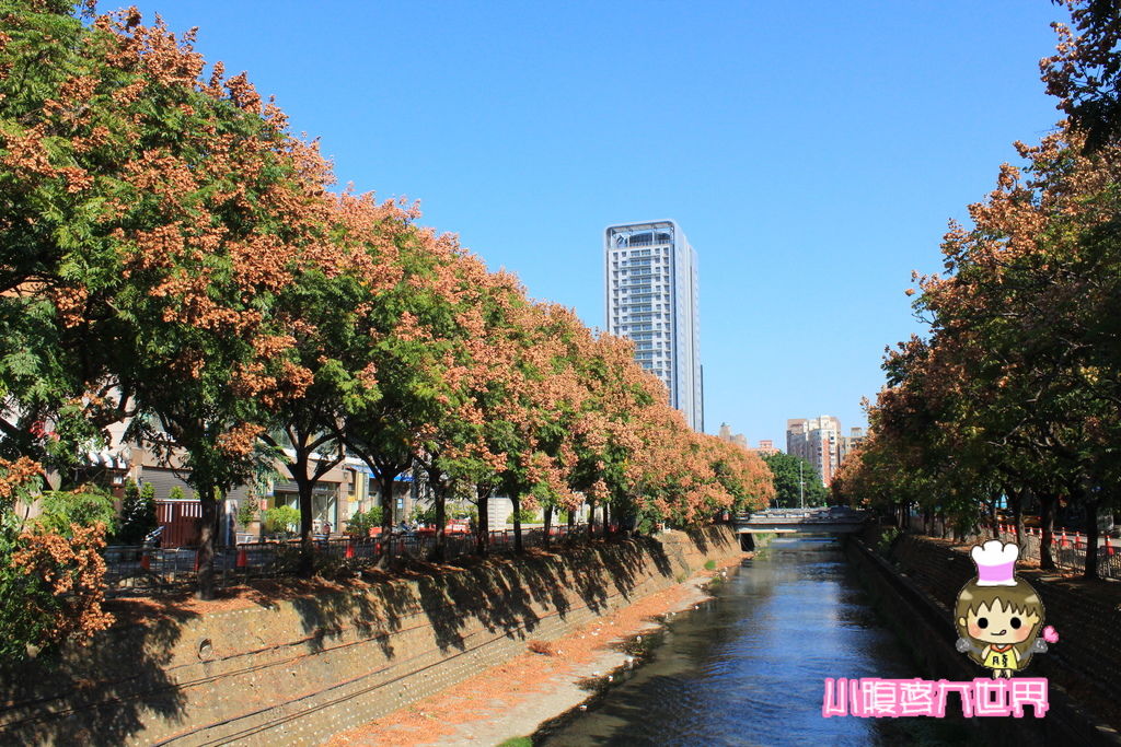 照片 220.jpg 照片 220.jpg