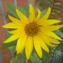 thumb_4ba999f1d975f.jpg thumb_4ba999f1d975f.jpg