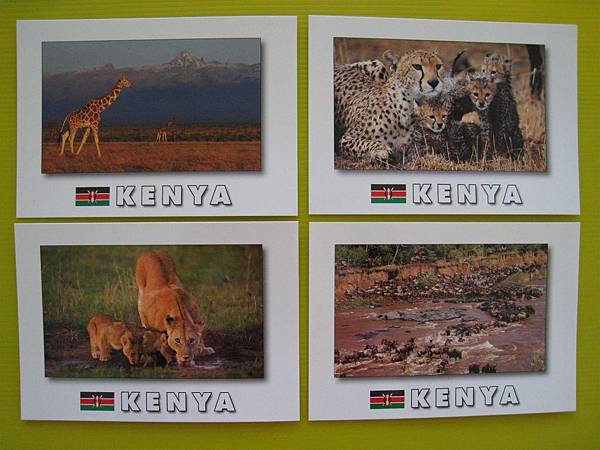 肯亞紀念品 (8).jpg