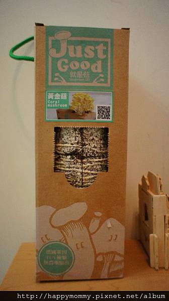 2012 在家種香菇 就是菇黃金菇 (2) 2012 在家種香菇 就是菇黃金菇 (2)