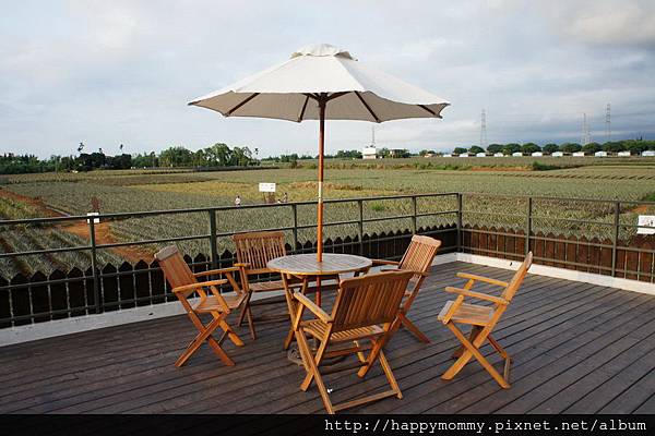 民雄 旺莱山土凤梨酥 好吃又好玩@wenwen小姐