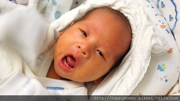 嬰兒照顧 嬰兒照顧