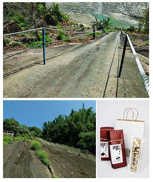 1069414_493340847407137_770866102_n