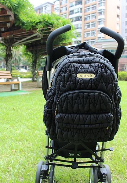 IMG_1647-1 IMG_1647-1