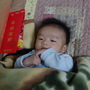 IMGP7139.JPG IMGP7139.JPG