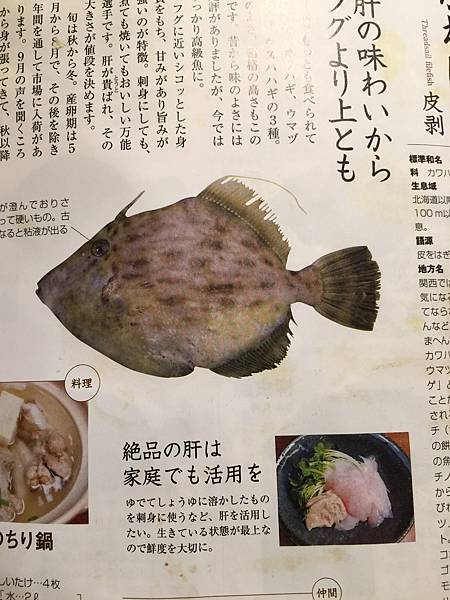 IMG_1268.jpg IMG_1268.jpg