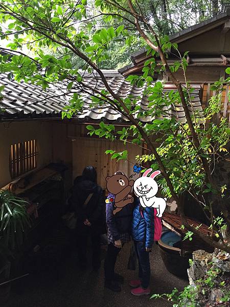 IMG_1542.jpg IMG_1542.jpg