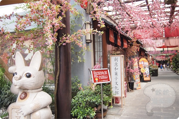 P7072657.JPG P7072657.JPG