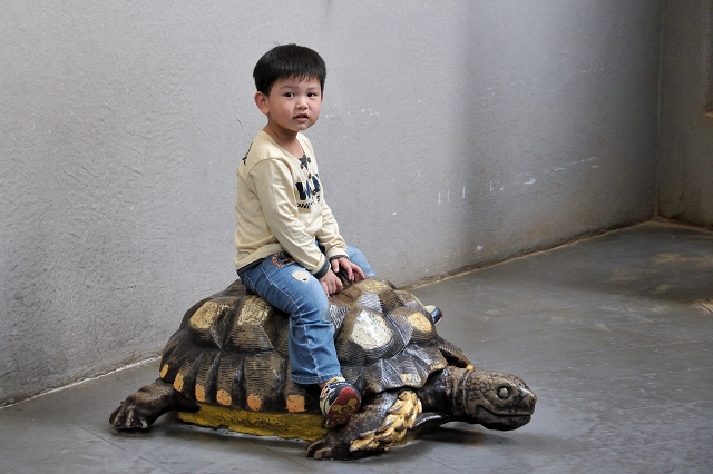 nEO_IMG_DSC_1258.jpg nEO_IMG_DSC_1258.jpg