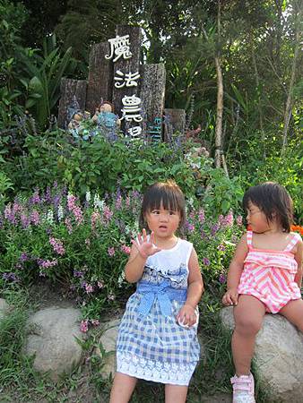 IMG_0576 IMG_0576