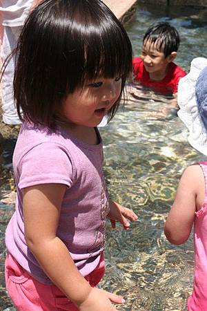 IMG_4699.JPG IMG_4699.JPG
