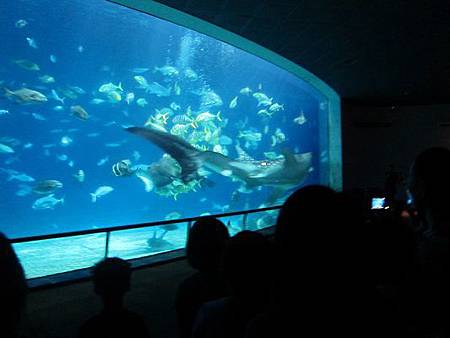 IMG_0845 IMG_0845
