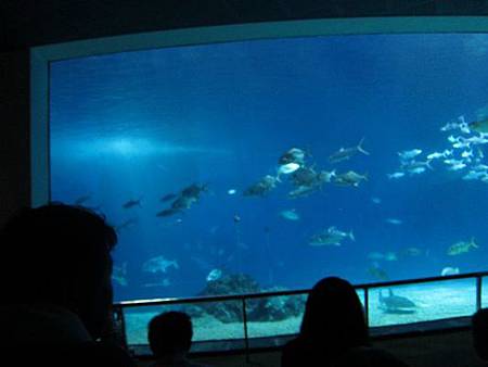 IMG_0841 IMG_0841