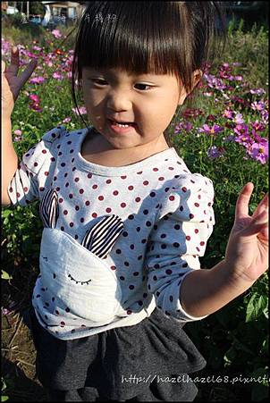 IMG_6046.JPG IMG_6046.JPG
