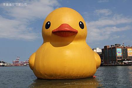 IMG_9880.JPG IMG_9880.JPG