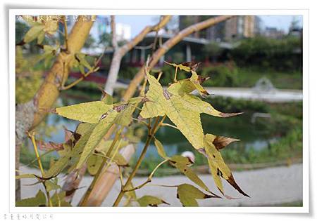 IMG_5607 IMG_5607