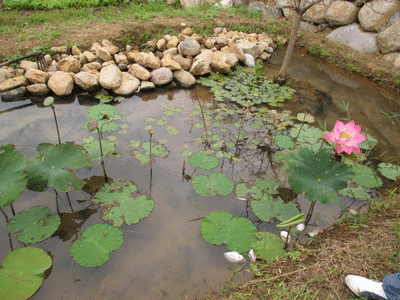 領略【三芝】自然人文之美 打造屬於自己的樂活方程式 - 訪共榮社區