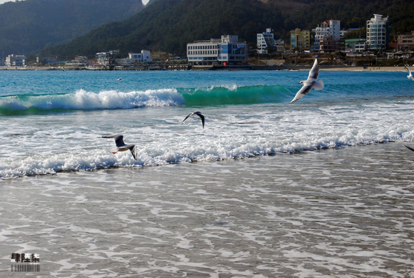 釜山&hellip;