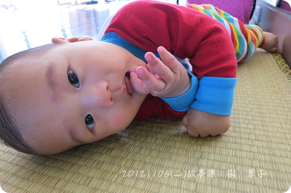 20121106 20121106