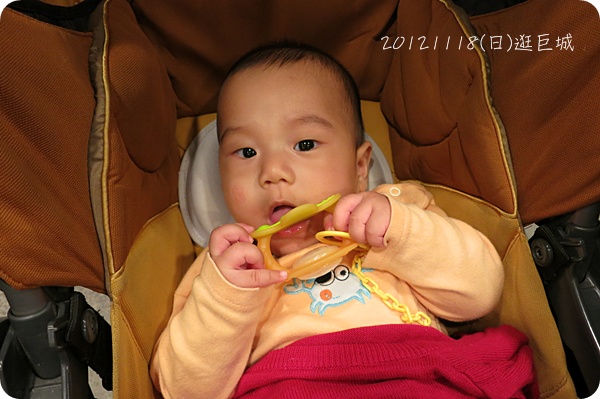 20121118 20121118