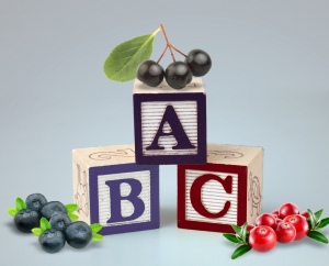 漿果新的ABC