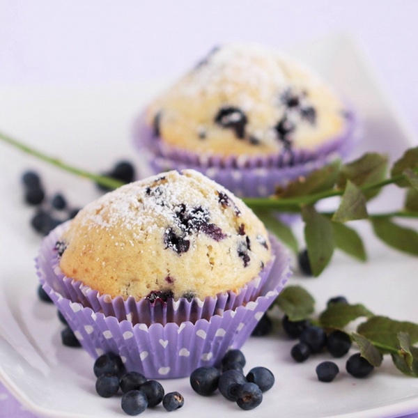 野櫻莓健康麵包 野櫻莓健康麵包